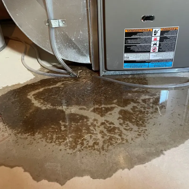 Pipe Burst and Leak Restoration in Brown County, OH
