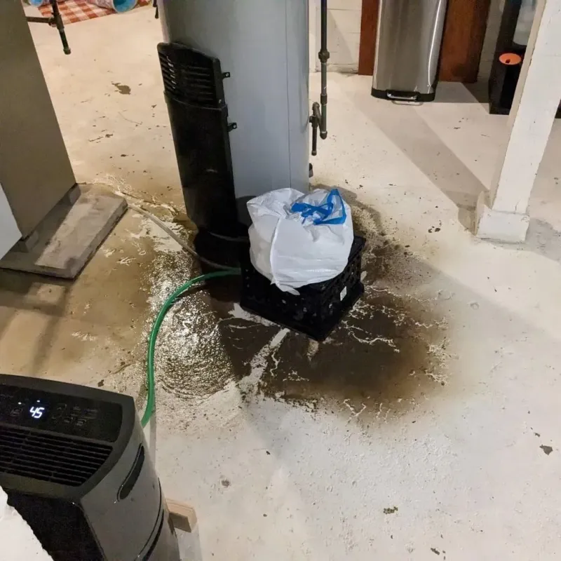 Sewage Backup Cleanup Service in Brown County, OH